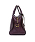 Small Skull Padlock Tote Bordeaux, side view
